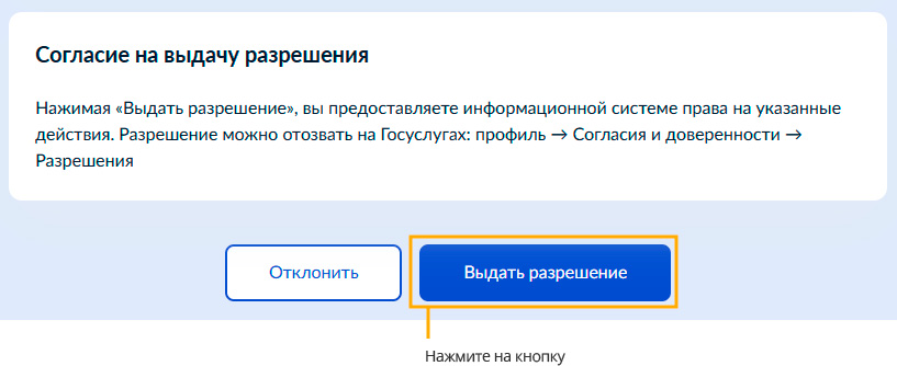 Выдача разрешения Госуслуг на подтверждения домена
